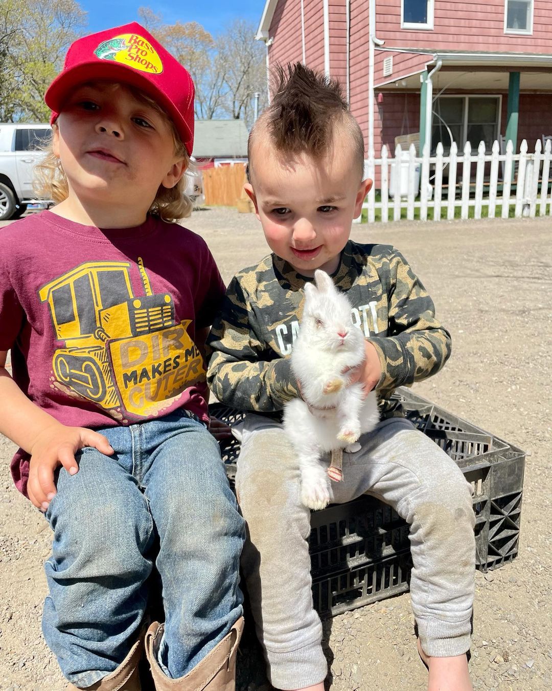 Fink's Country Farm