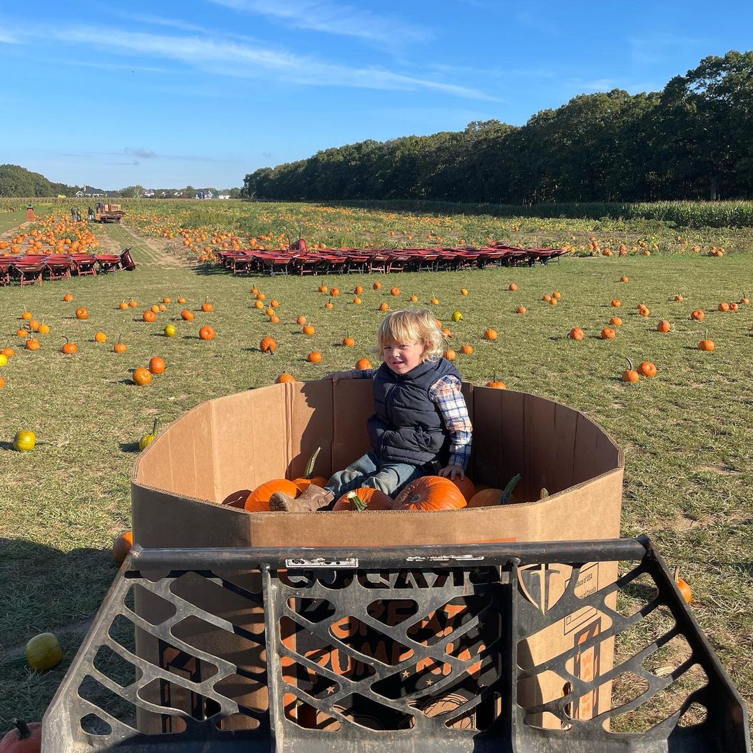 finks farm