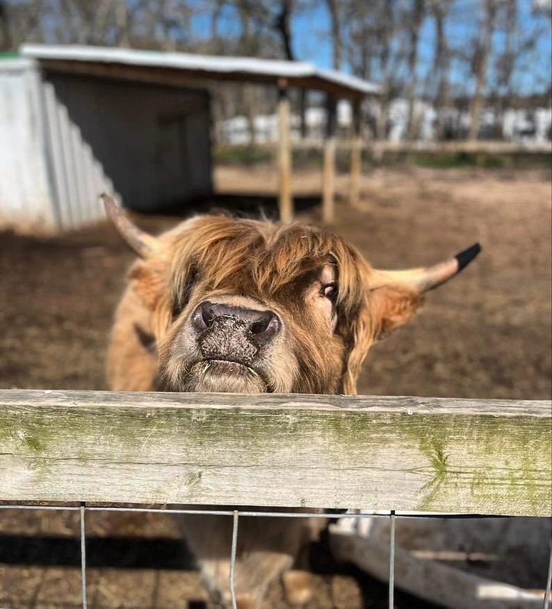 Fink's Country Farm