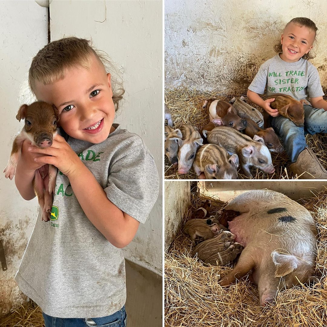 Fink's Country Farm