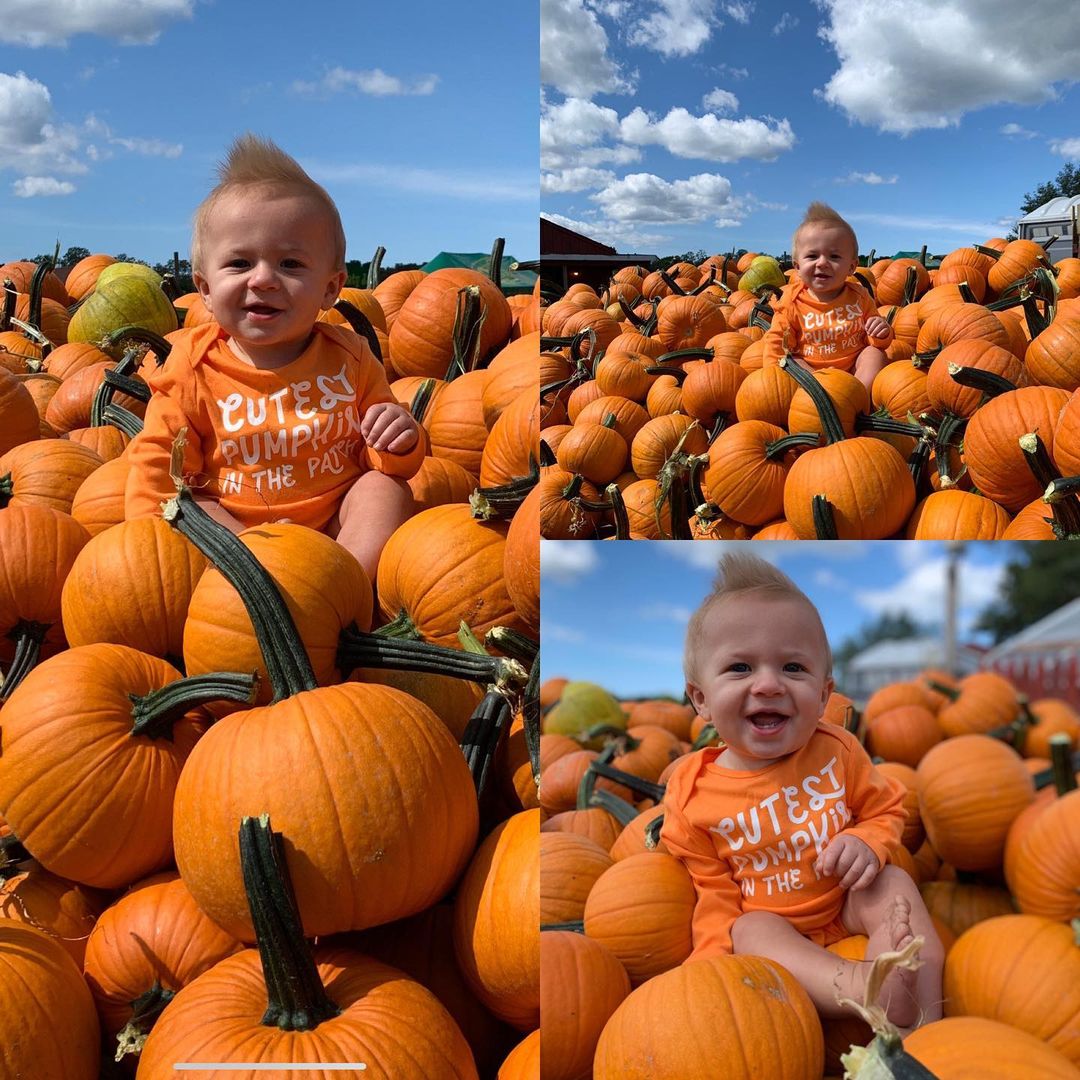 finks farm