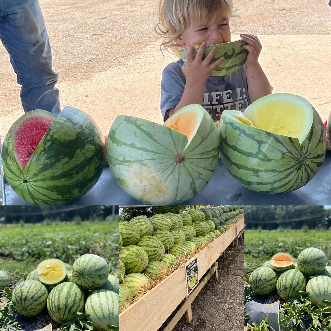 finks farm